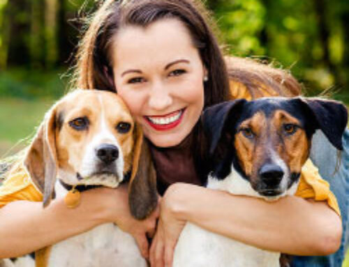 Expert Care for Pet Wellness
